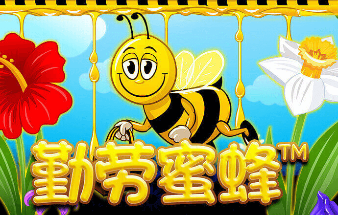 华体育(huatihui)